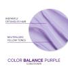 imageJoico Color Balance Purple Conditioner  For Cool Blonde or Gray Hair  Eliminate Brassy Yellow Tones  Boost Color Vibrancy ampamp Shine  UV Protection  With Rosehip Oil ampamp Green Tea Extract85 Fl Oz Pack of 1