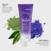 imageJoico Color Balance Purple Conditioner  For Cool Blonde or Gray Hair  Eliminate Brassy Yellow Tones  Boost Color Vibrancy ampamp Shine  UV Protection  With Rosehip Oil ampamp Green Tea Extract85 Fl Oz Pack of 1