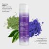 imageJoico Color Balance Purple Shampoo  For Cool Blonde or Gray Hair  Eliminate Brassy Yellow Tones  Boost Color Vibrancy ampamp Shine  UV Protection  With Rosehip Oil ampamp Green Tea Extract101 Fl Oz Pack of 1