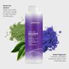 imageJoico Color Balance Purple Shampoo  For Cool Blonde or Gray Hair  Eliminate Brassy Yellow Tones  Boost Color Vibrancy ampamp Shine  UV Protection  With Rosehip Oil ampamp Green Tea Extract338 Fl Oz Pack of 1