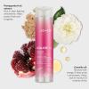 imageJoico Colorful AntiFade Shampoo  For ColorTreated Hair  Preserve Hair Color ampamp Vibrancy LongTerm  Boost Shine ampamp Reduce Breakage  Sulfate Free  With Camellia Oil ampamp Pomegranate Extract101 Fl Oz Pack of 1