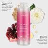 imageJoico Colorful AntiFade Shampoo  For ColorTreated Hair  Preserve Hair Color ampamp Vibrancy LongTerm  Boost Shine ampamp Reduce Breakage  Sulfate Free  With Camellia Oil ampamp Pomegranate Extract338 Fl Oz Pack of 1